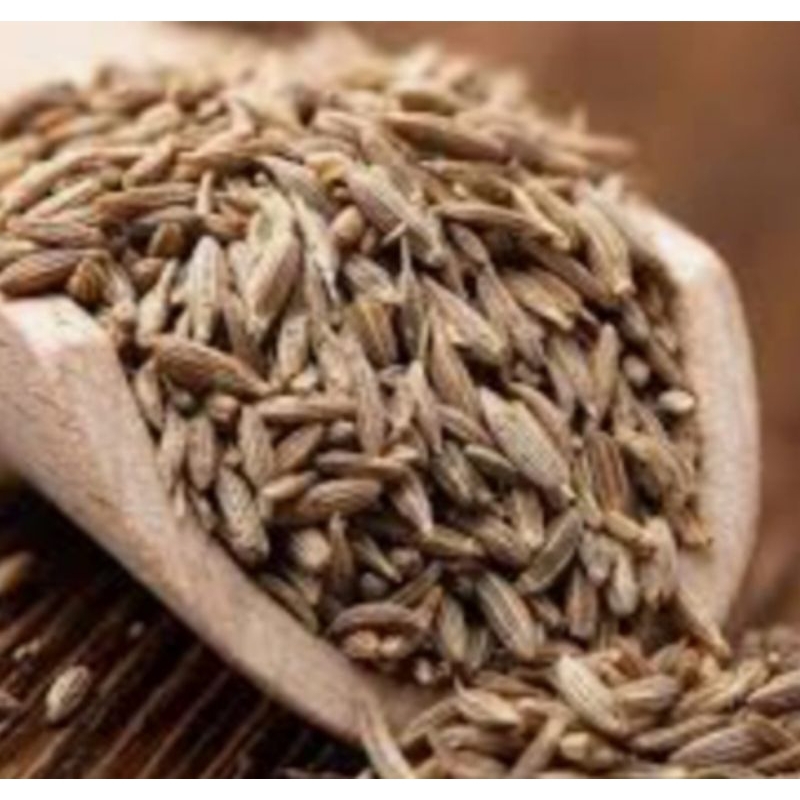 

JINTEN PUTIH RP 8.000 / 100 gram