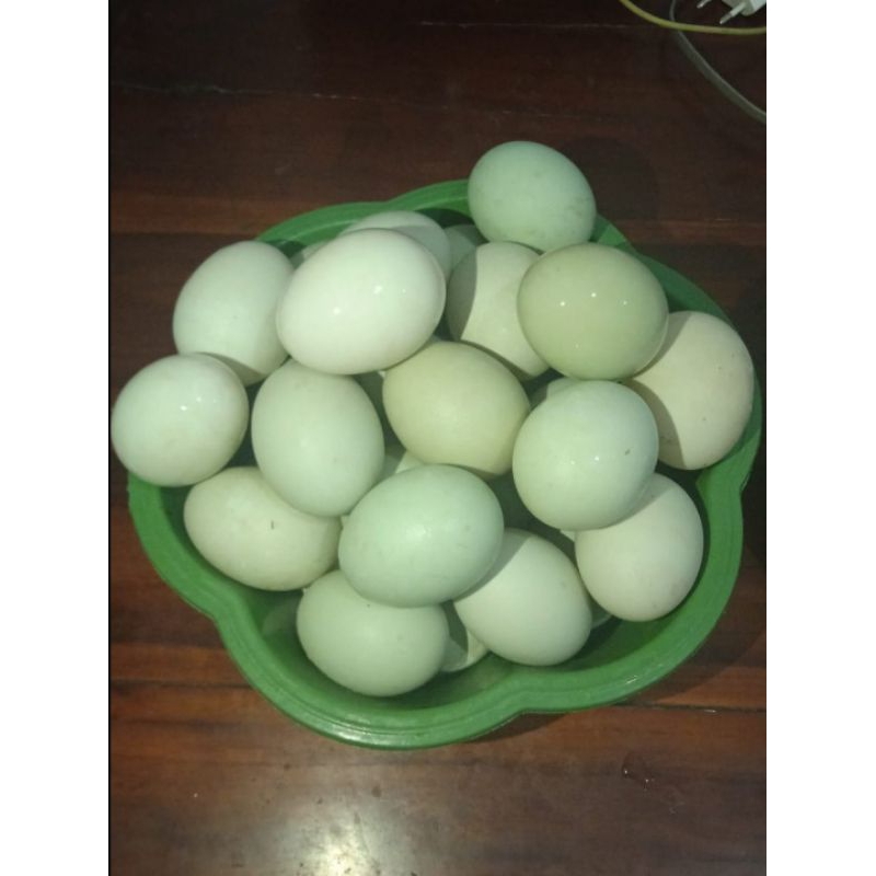 

Telur bebek mentah hasil ternak sendiri / telur bebek fresh