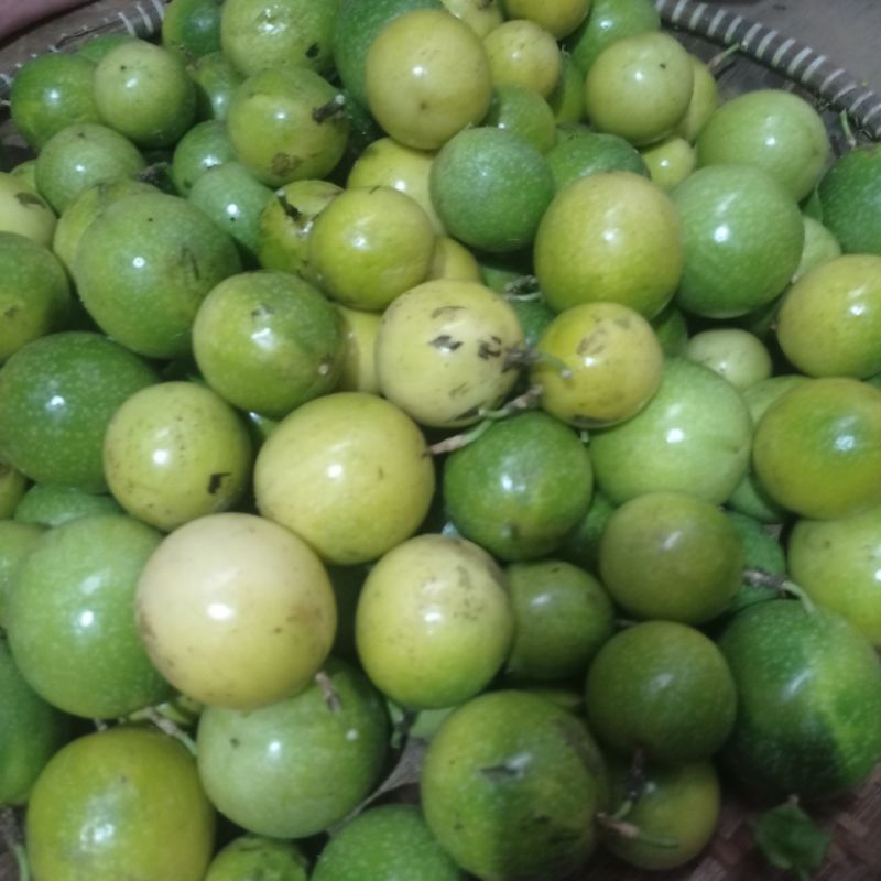 

Buah markisa kuning 1kg segar