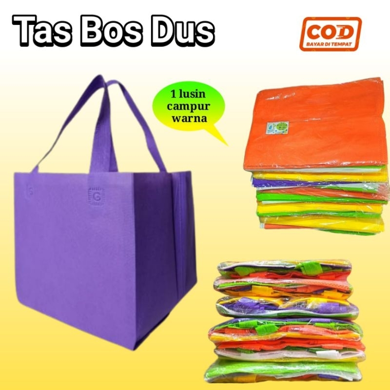 

(1 Lusin) isi (12pcs) Tas spunbond Box Dus 20x20 & 22x22 Mix Warna Goodie Bag