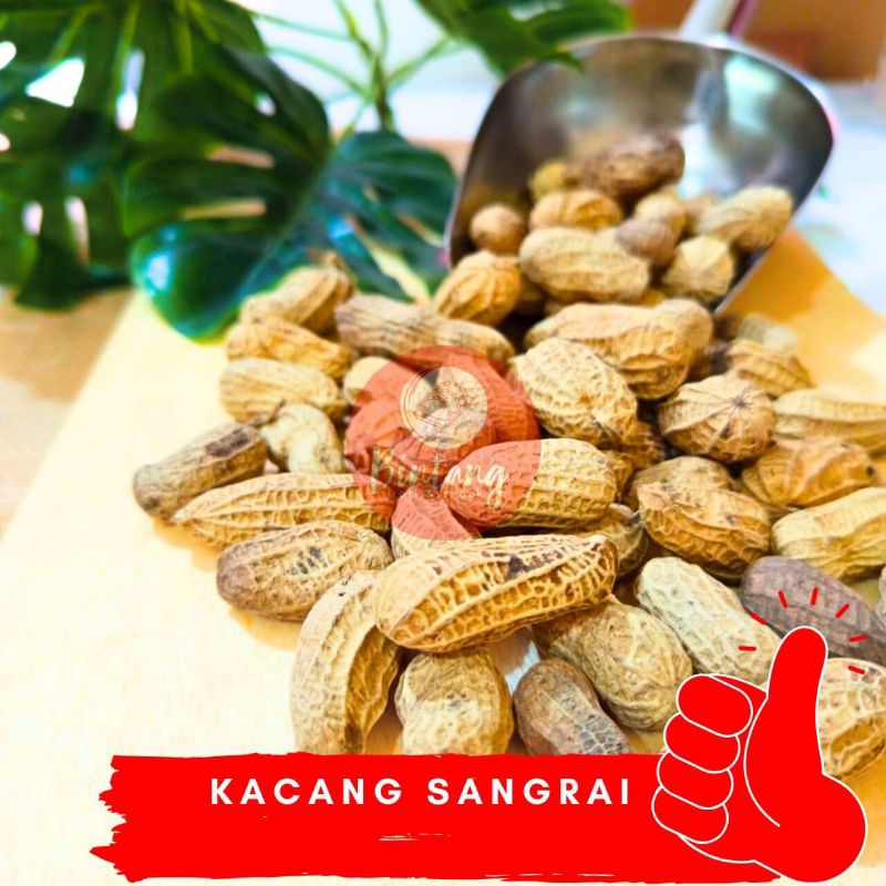 

kacang kulit sangrai