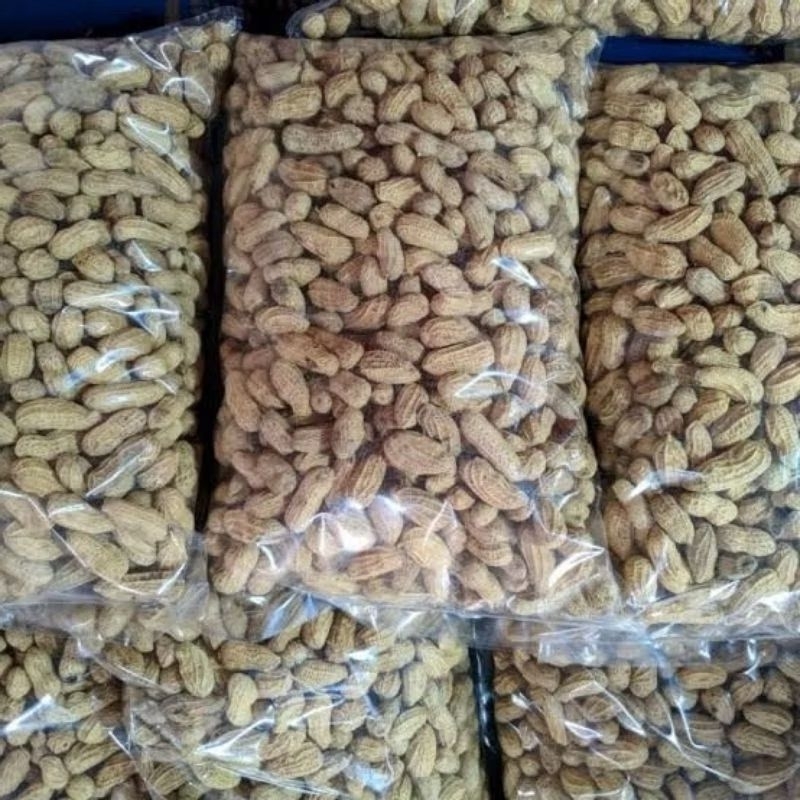 

KACANG SANGRAI 1KG, KACANG PANGGANG, KACANG KULIT KERING.