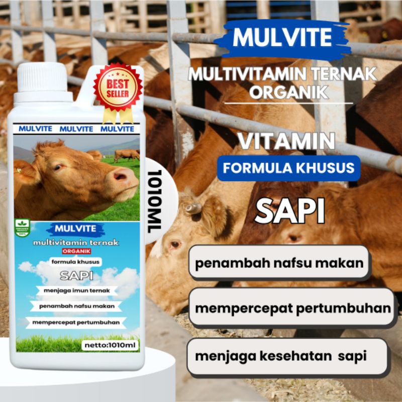 MULVITE Vitamin Probiotik Khusus Sapi, Vitamin Ternak Organik Penggemuk Sapi Meningkatkan Nafsu Maka