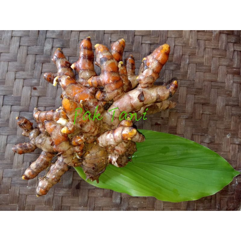 

Kunyit Organik_ Kunyit Segar_ Kunyit Fresh 500 gr