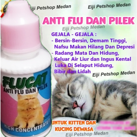 FLUCAT OBAT FLU KUCING – OBAT PILEK KUCING / FLU CAT Obat Kucing