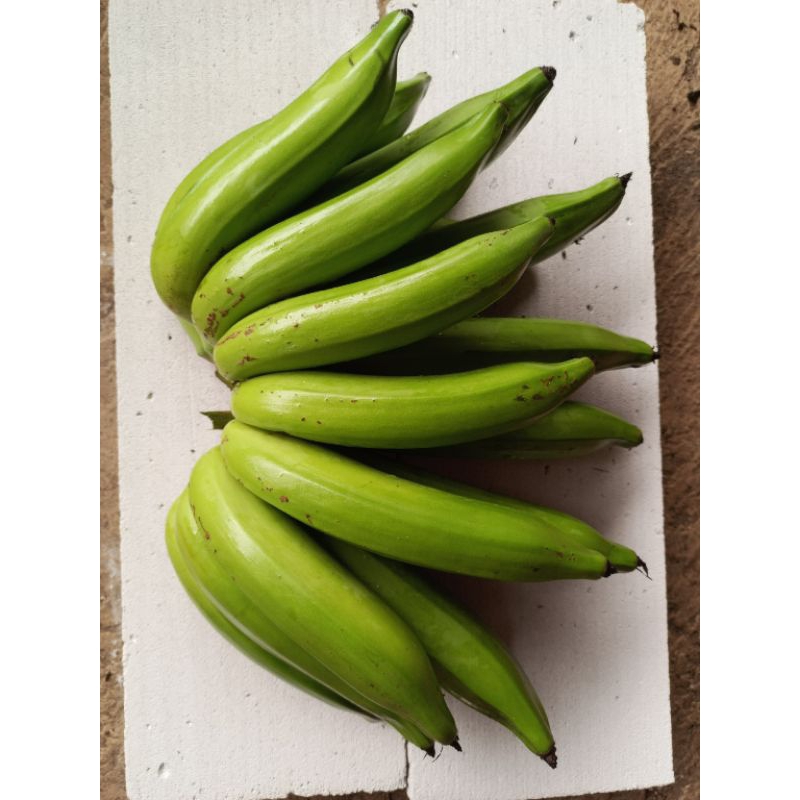 

Buah pisang nangka segar kualitas super siap matang di kirim mengkal