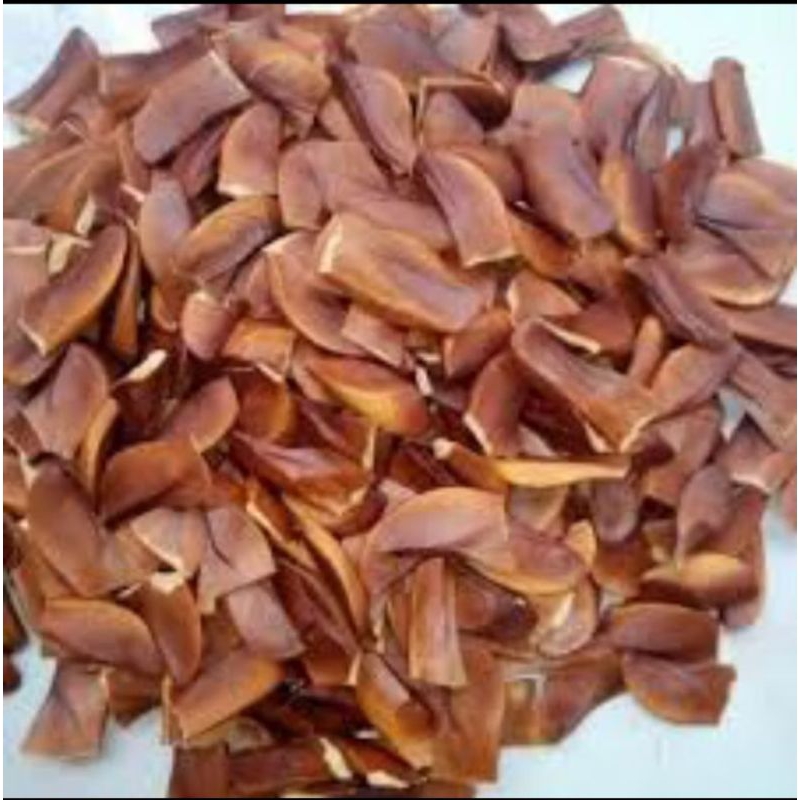 

BIJI MAHONI UNTUK OBAT