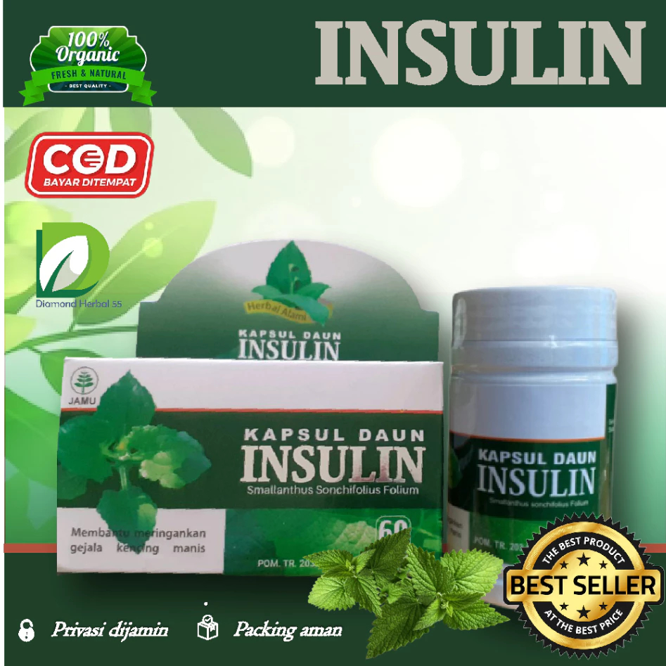 KAPSUL DAUN INSULIN ISI 60 HERBAL MURNI ORIGINAL 100% CV.HANIF HERBAL SOLUSI DIABETES