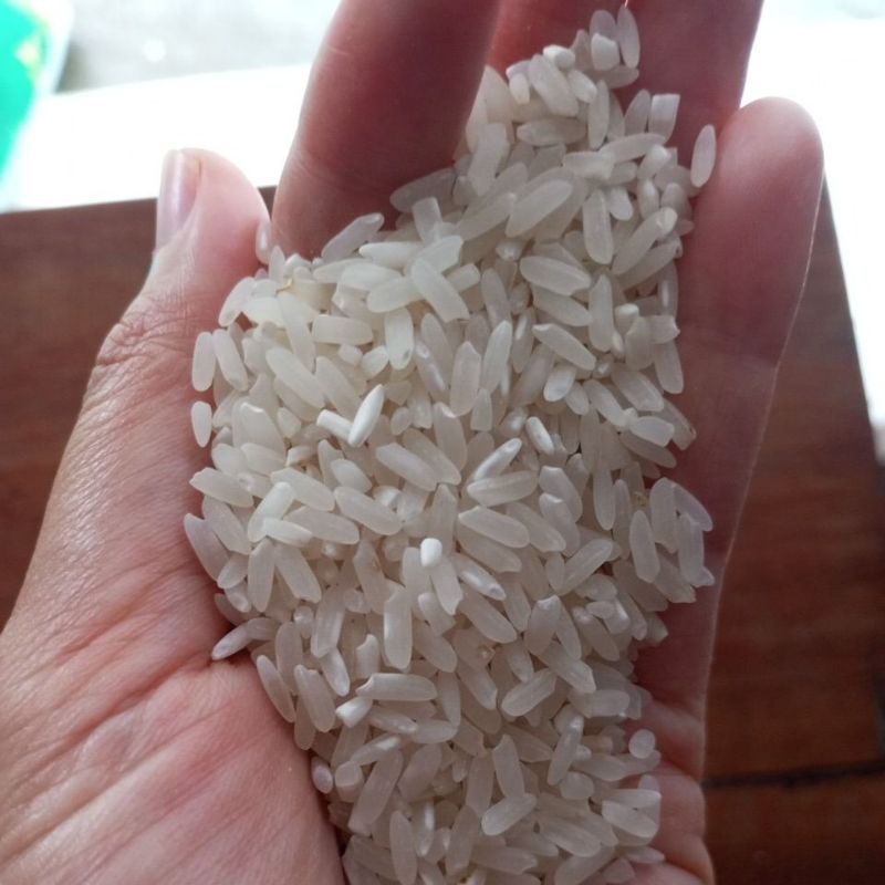 

Beras Jenggawur 1 kg