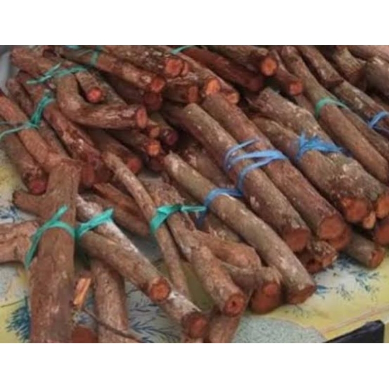 

Akar mahoni akar pohon mahoni 500 gram