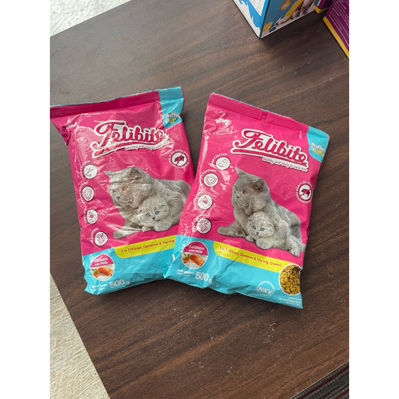 felibite mother kitten