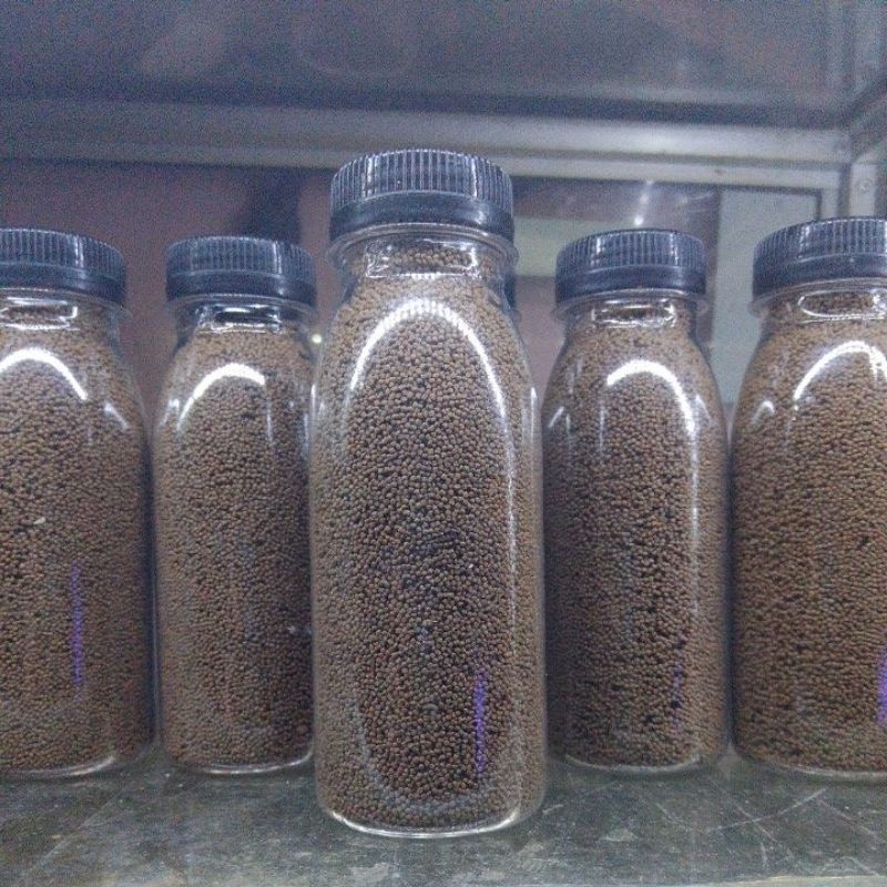 pelet ikan kecil untuk glowfish Guppy danio molly dll