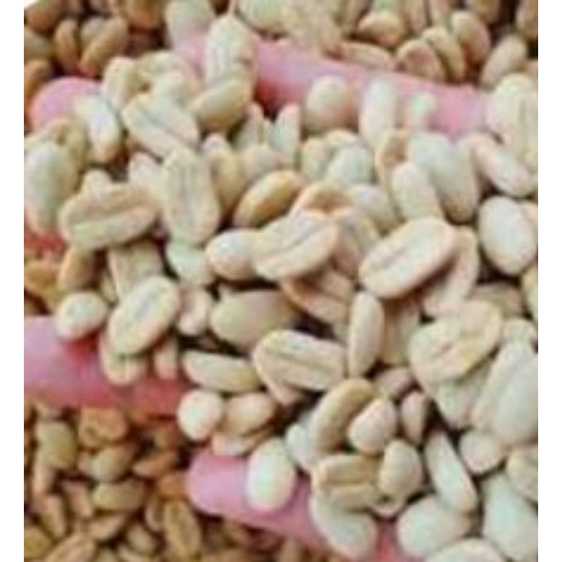 paket 1000 butir benih  biji kopi ateng arabika super