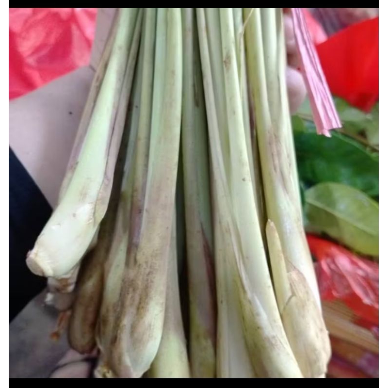 

Batang serai 500gram