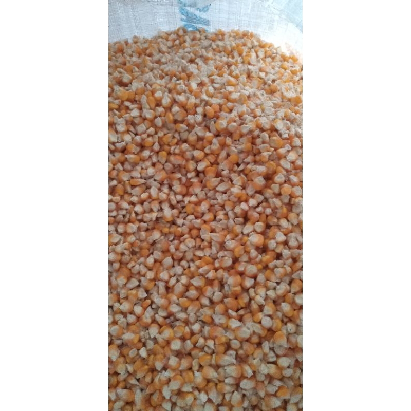 JAGUNG KERING 1 KG