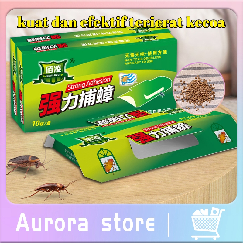 Rumah kecoa Bubuk Obat Kecoa Obat Semut