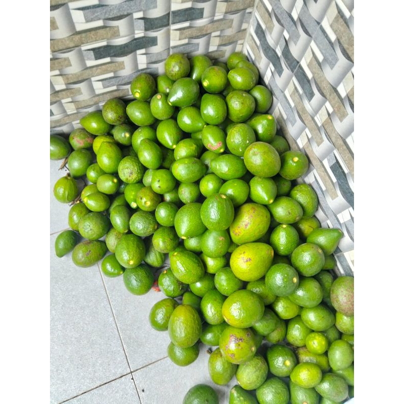 

alpukat mantega berat 1kg