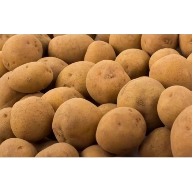 

Kentang Fresh 500 gr