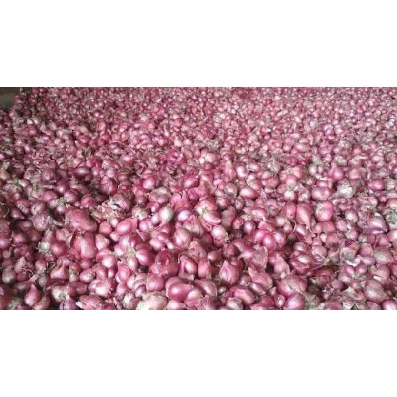 

OBRAL BAWANG MERAH//BUMBU DAPUR//BUMBU SAYUR