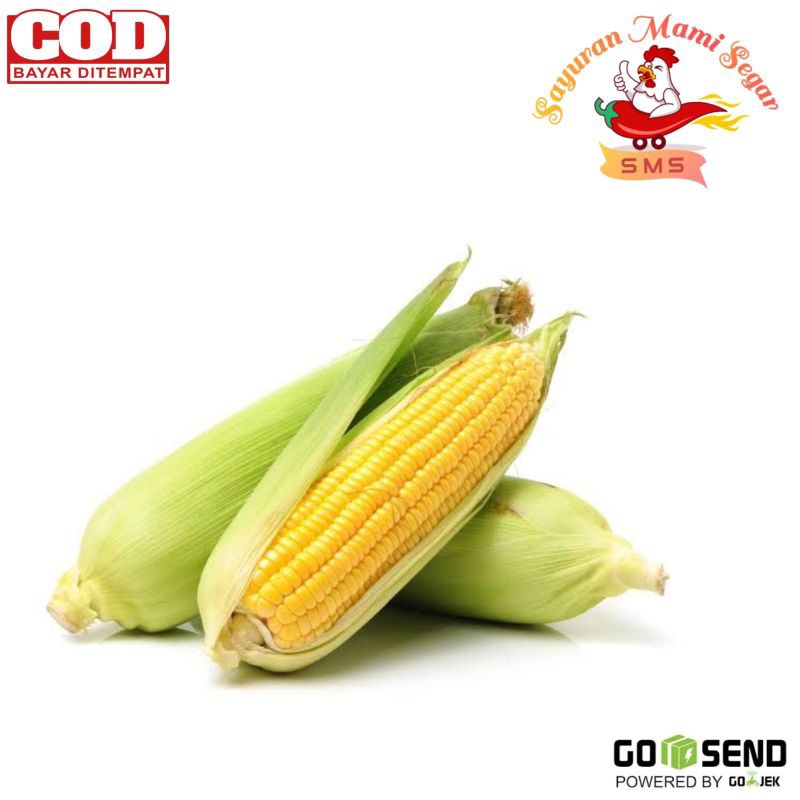 

Jagung Manis Kulit. 500 gram. (Sayuran Segar Mami) Fresh dan Baru setiap Hari