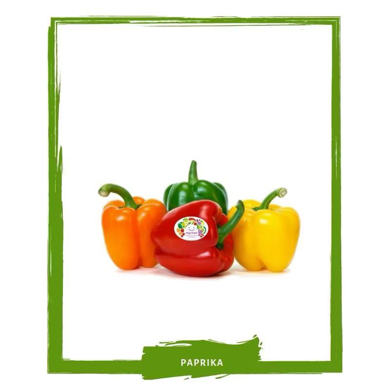 

Paprika Hijau / Merah / Kuning / Sayur Segar By Sayur Mallah
