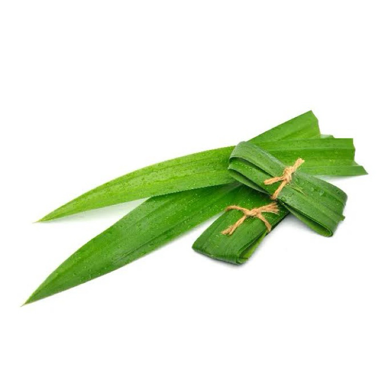 

Daun Pandan
