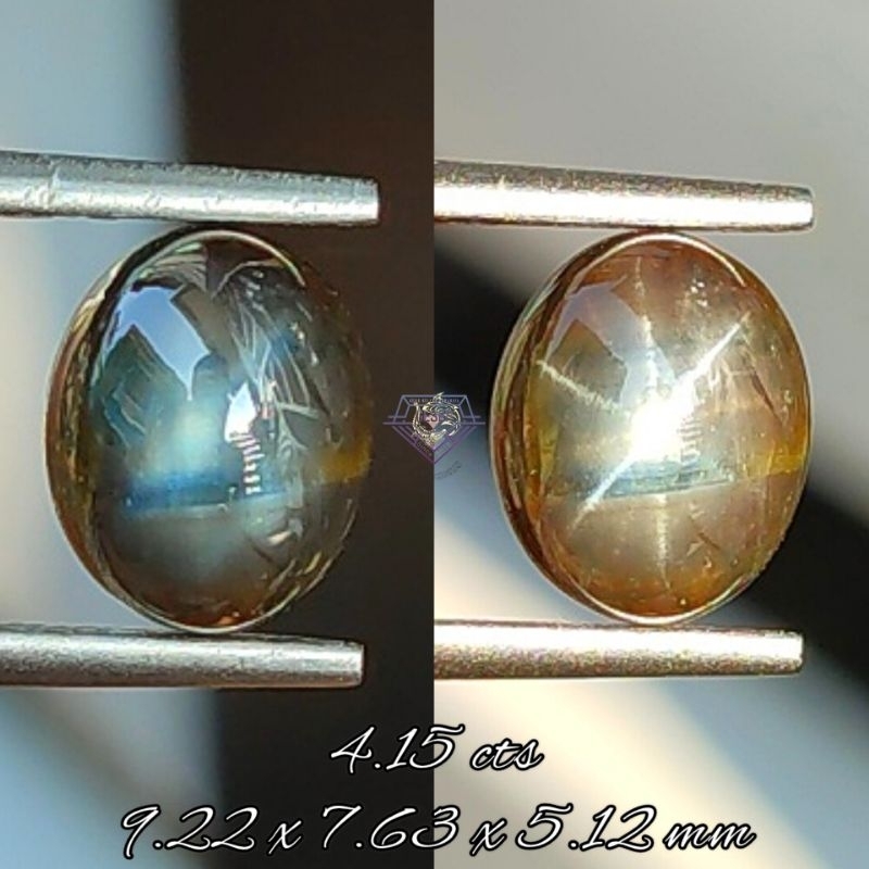 Natural 12 Ray's Fancy Star Sapphire Corundum