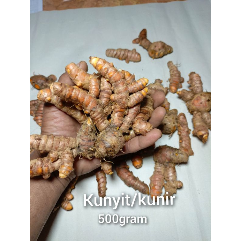 

Kunyit utuh segar 500 gram bersih