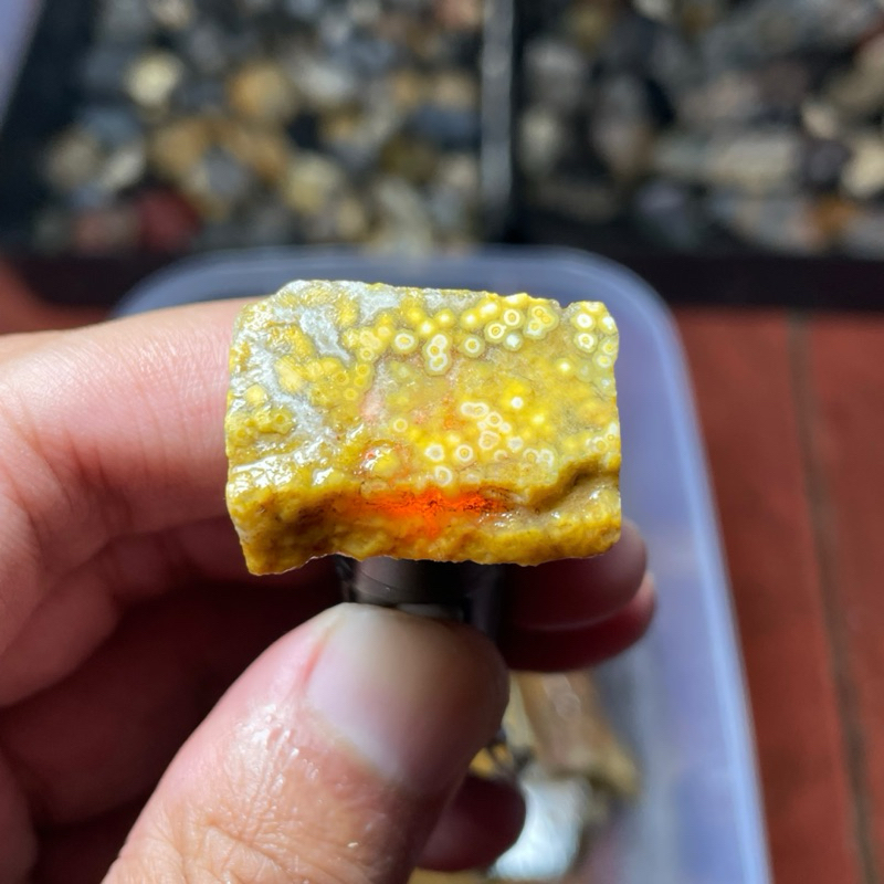 bahan bongkahan batu akik asli natural telur kodok unik