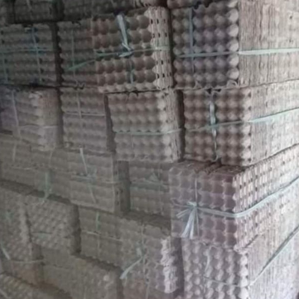 Egg Tray Ayam/bebek/puyuh Bekas 1 kali pakai