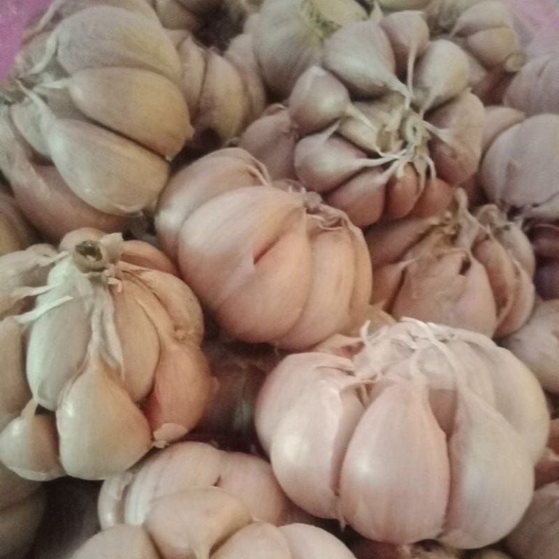 

BAWANG PUTIH 250GRAM