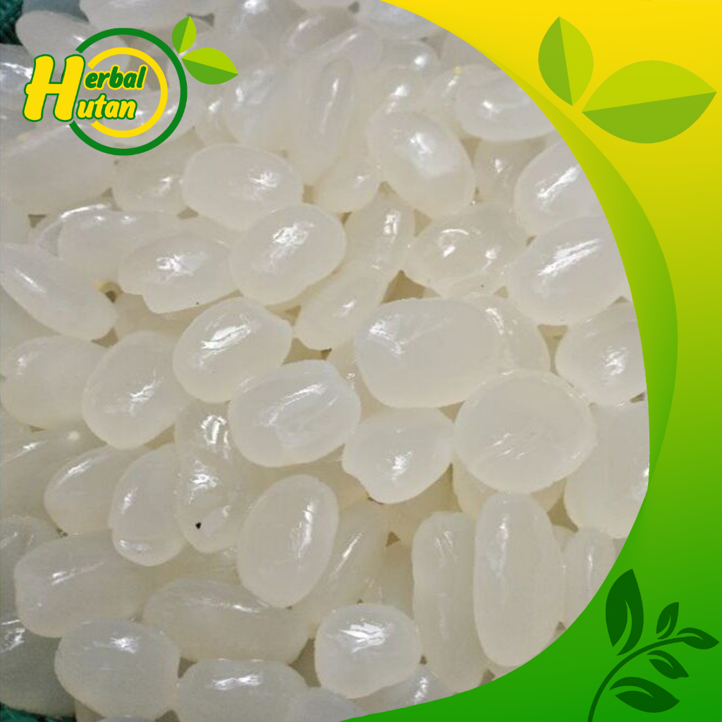 

kolang kaling segar kolang kaling fresh 1kg asli kawung