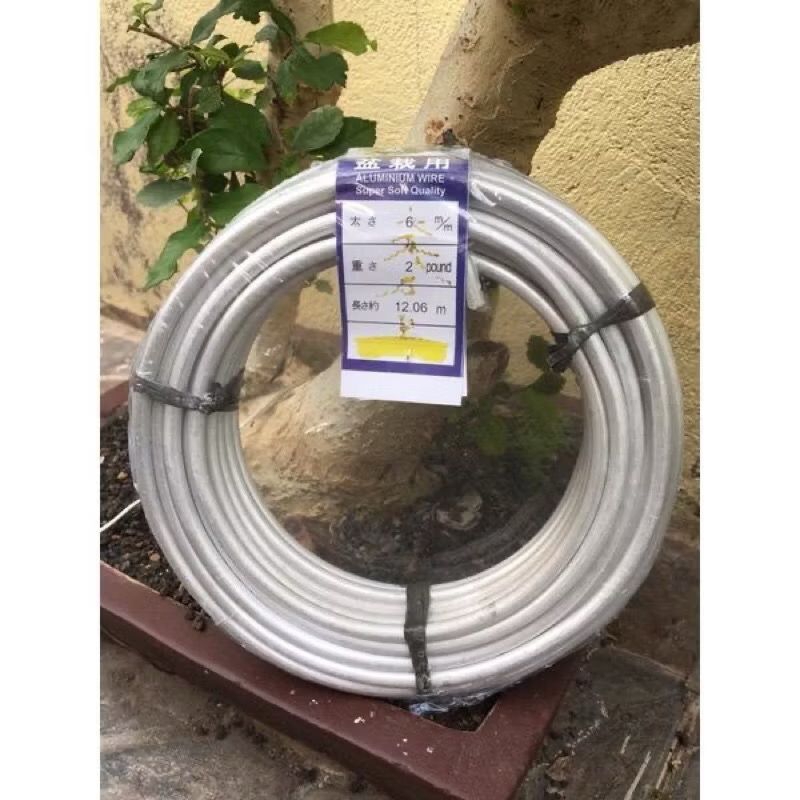 KAWAT BONSAI SILVER 6MM ECERAN PER METER