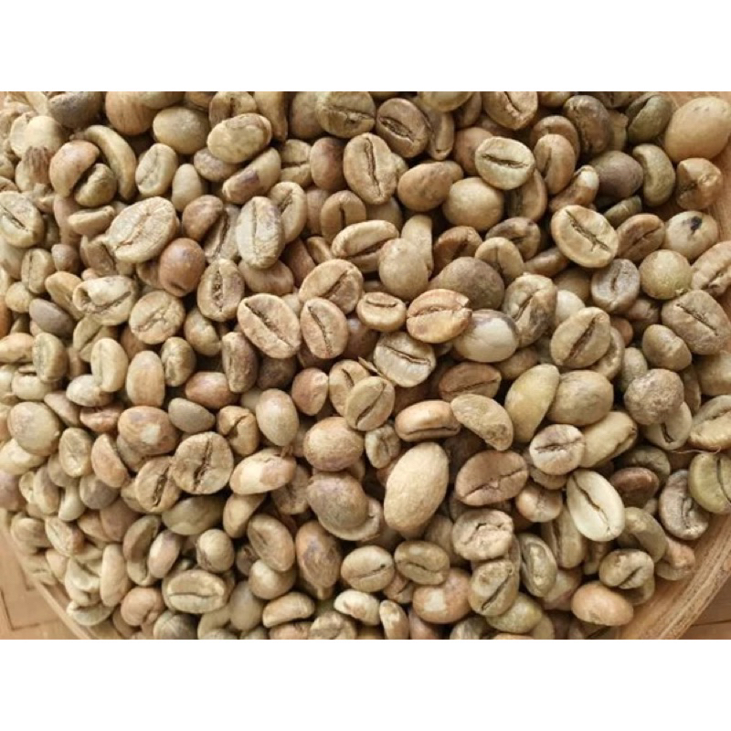 

GREEN BEAN 1 robusata LANSUNG DI DARI KEBUN NYA 5 kg