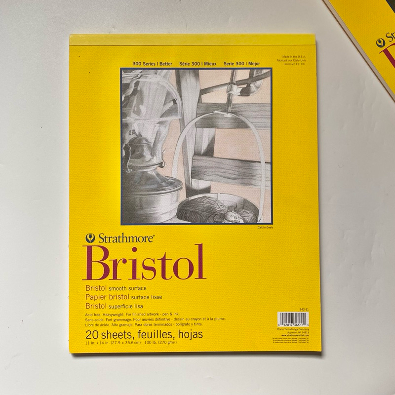

Strathmore Bristol Smooth 11x14" (27.5x35cm)