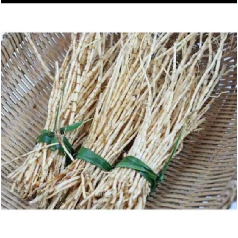 

Akar alang alang segar 500 gram