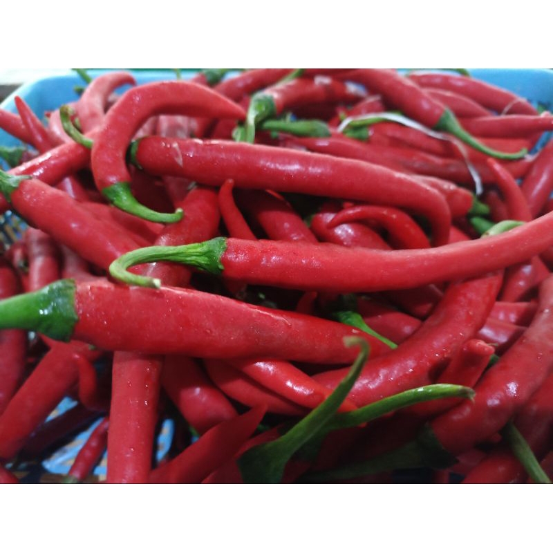 

CABAI MERAH /CABAI BESAR PREMIUM