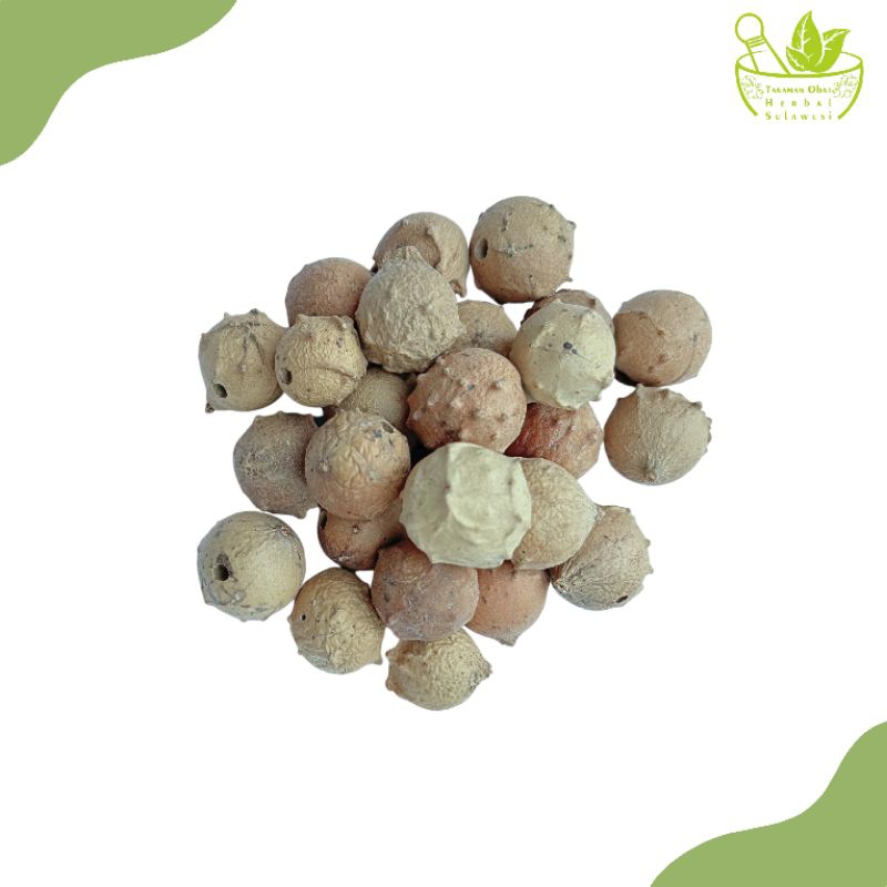 

Buah Manjakani Kering (10 Buah)