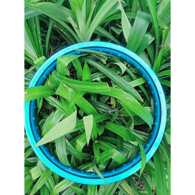 VELG TK JAPAN RING 16/160 WARNA ASLI BIRU