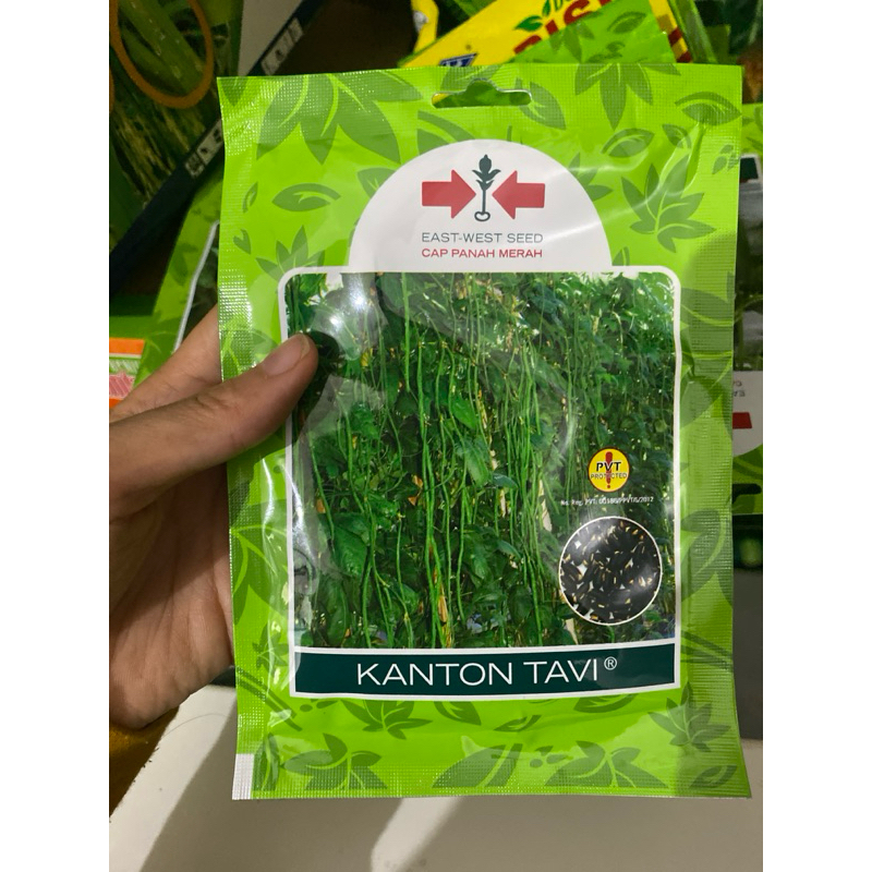 Benih bibit Kacang Panjang Kanton Tavi cap panah merah