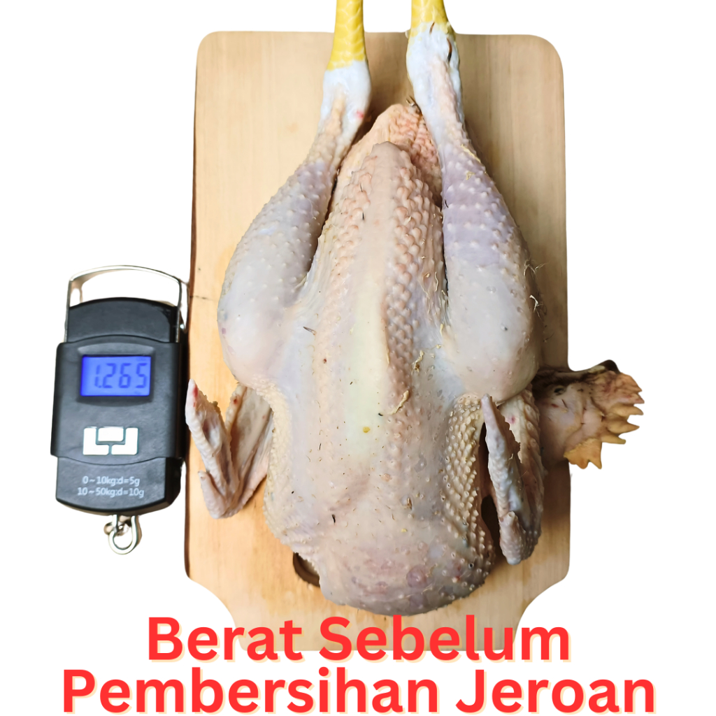 

Ay00! Ayam Kampung FRESH MUDA Request Ukuran & Potong BB Besar - Kecil Murah Segar BUKAN FROZEN