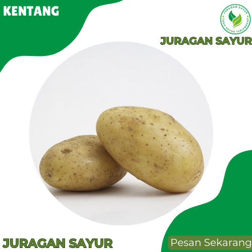 

Kentang Jumbo 500gram - Kentang 500gram -Kentang Sayur - Kentang PREMIUM dan Fresh - Juragan Sayur
