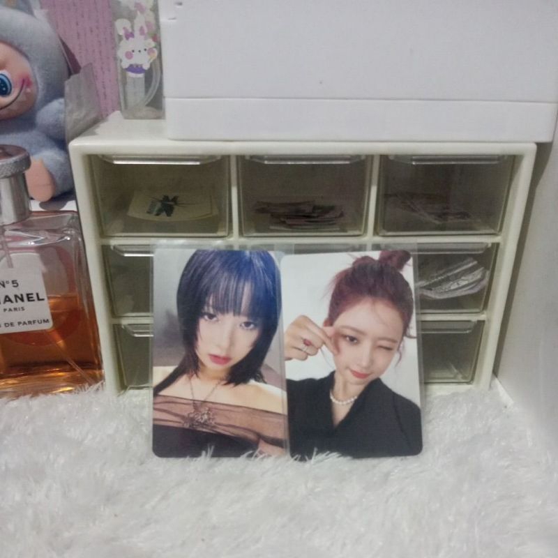 (Ready) Photocard official Rei ive[CELSIN_SHOP]