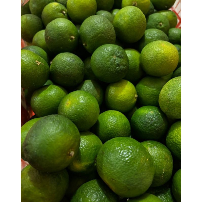 

Santang Madu | Santang ijo | jeruk Santang madu bandung