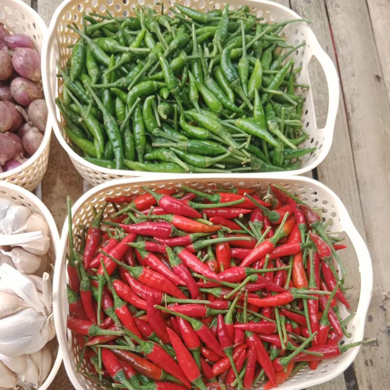 

cabe rawit MERAH MIX rawit HIJAU 1kg