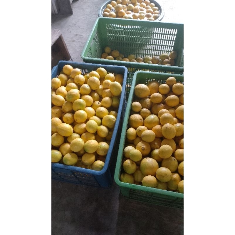

Lemon California