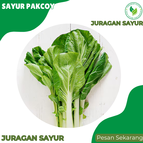 

Pakcoy / Bokcoy 500gr - Pakcoy Sayur PREMIUM dan Fresh - Juragan Sayur