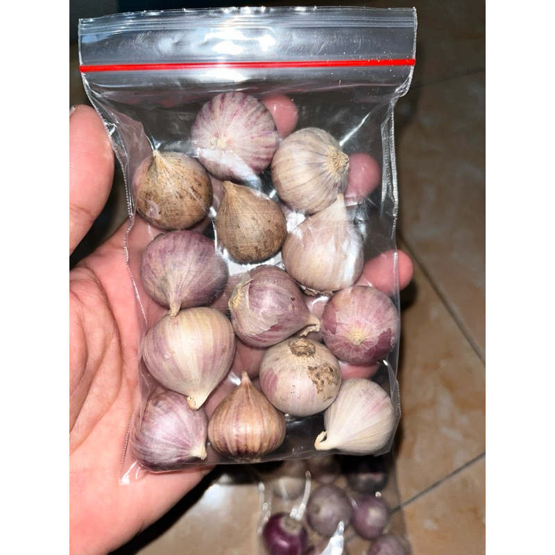 

BAWANG PUTIH TUNGGAL/BAWANG LANANG/UKURAN JUMBO