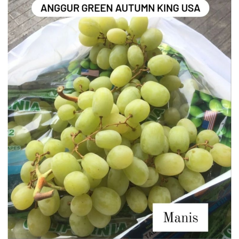 

ANGGUR GREEN AUTUMN KING USA 1 KG MANIS