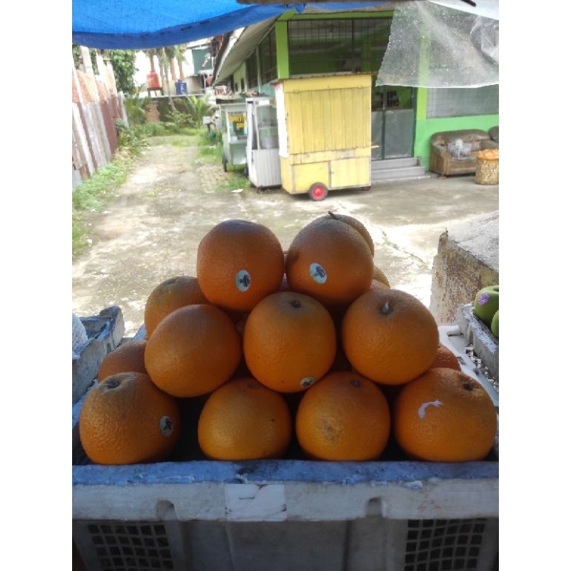 

Buah Jeruk Sunkist [ 1Kg ]